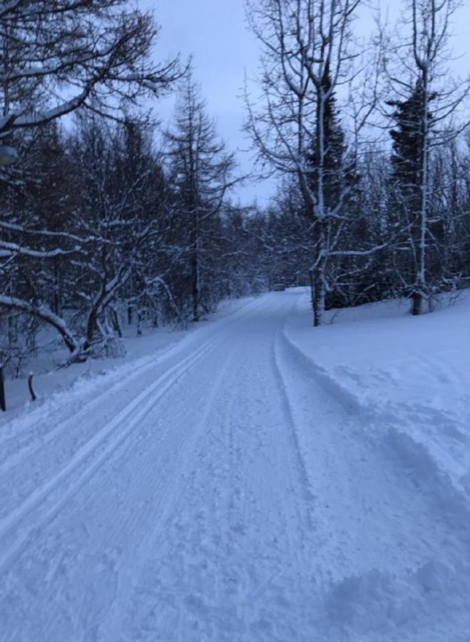 Guesthouse Hvitahusid Akureyri Zewnętrze zdjęcie